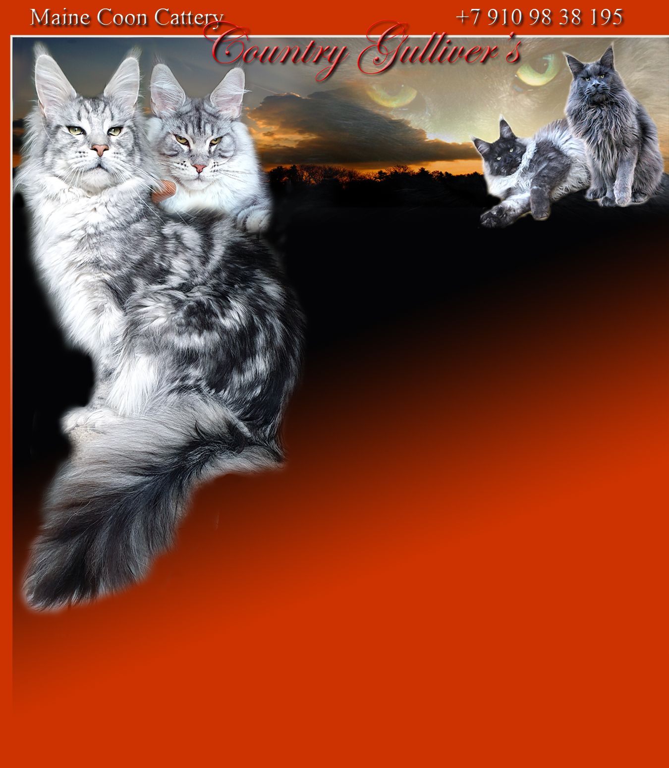 ���� ���� �� ��������� ������  ����������